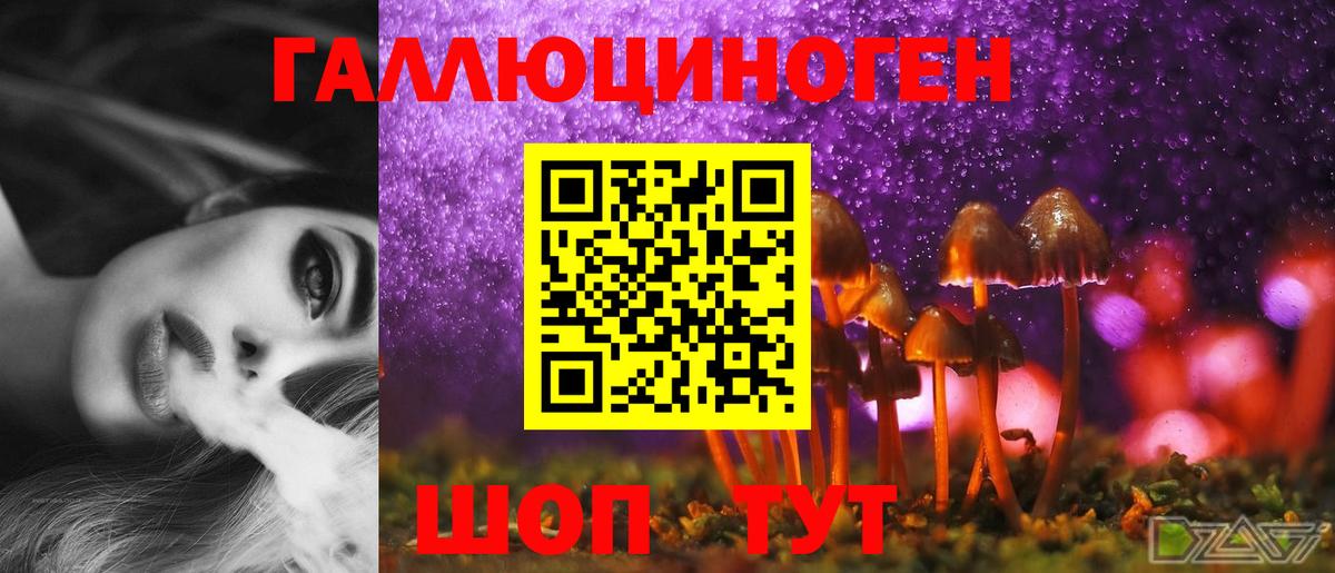 Клин  купить   Вход с VPN  Галлюциногенные грибы мицелий 