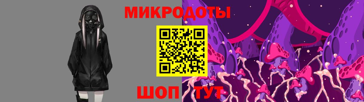Псилоцибиновые грибы Psilocybe Клин